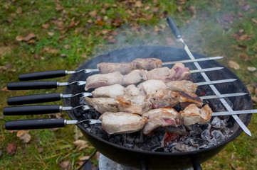 Juicy meat skewers on skewers