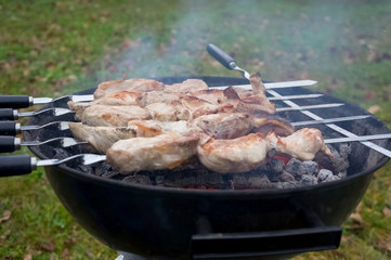 Juicy meat skewers on skewers