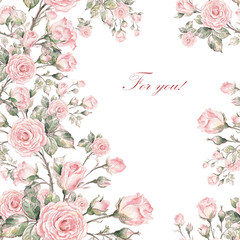  Watercolor background of a branch of a rose-1.jpg