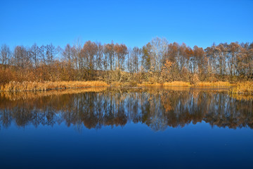 Autumn trees reflection in lake water surface