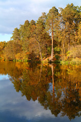 Autumn trees reflection in lake water surface