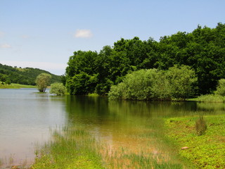 landscape with lake and trees