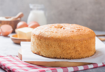Homemade  Soft and lite delicious sponge cake with ingredients: eggs flour milk on stone concrete table. Bakery background concept.