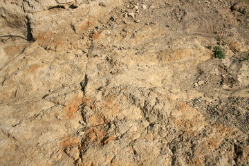 STONE GROUND TEXTURE