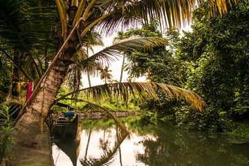 fishing boat in kerala backwaters village marsh at sunset in water channel under palm trees, a pristine natural environment during monsoon season