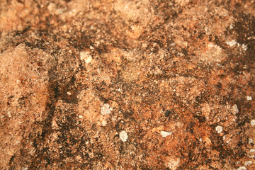 ORANGE STONE TEXTURE