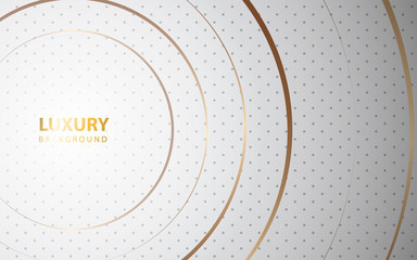 Modern abstract light silver background vector. Elegant frame shape design with golden line. Luxury vector design template concept for use element modern cover, banner, card, corporate, advertising