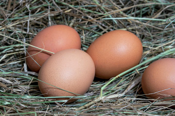 Chicken eggs.