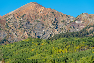 Fototapeta premium landscape of aspen tree grove and mountains in Colorado