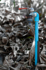 Naklejka premium The last drop.