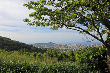 Great View over Honolulu Hawaii
