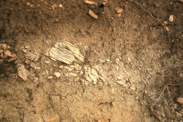 SAND AND STONES TEXTURE