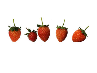 strawberries isolated on white background