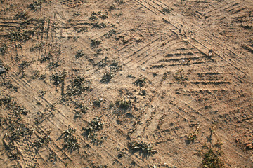 TIRES SINGS TEXTURE 002