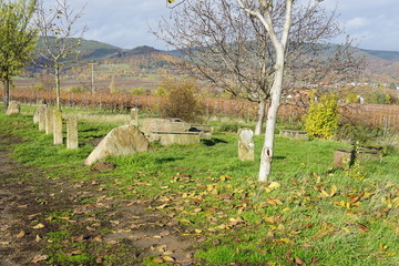 Idyllischer Rastplatz in den Weinbergen der Deutschen Weinstrasse