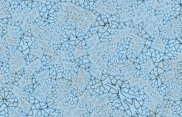 decorative flower decor