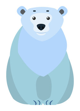 Polar bear sitting alone. Arctic wild animal isolated on white background. Dangerous hunter closeup drawing. Big mammal that lives on north among glaciers and ice. Vector illustration in flat style