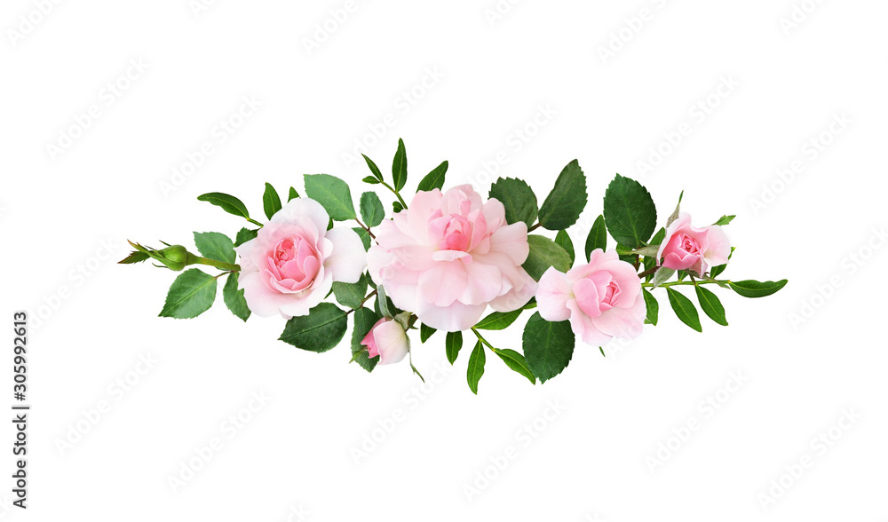 Wall mural Pink rose flowers in a line arrangement