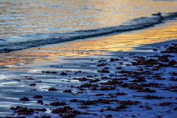Sea shore in Punta Cana