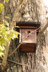 ein Nistkasten am Baumstamm in einem Park