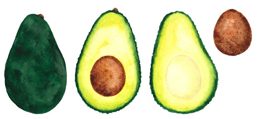  Watercolor Hand Drawn Fresh Sliced Avocado Set