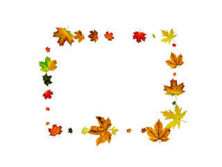 Obraz premium Fall background. Autumn leaves isolated on white. Season concept