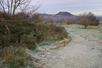 Winter walk in park with frost on the ground 