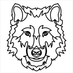 wolf's head vector illustration