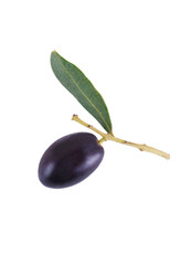 Black olive with leaves isolated on white background as oil package design element