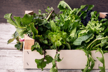 A box of freshly picked wild edible spontaneous herbs