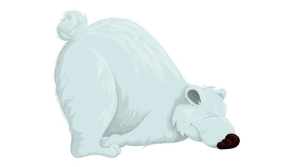 Funny polar bear trying to get up after sleeping. Vector illustration in cartoon style on white background