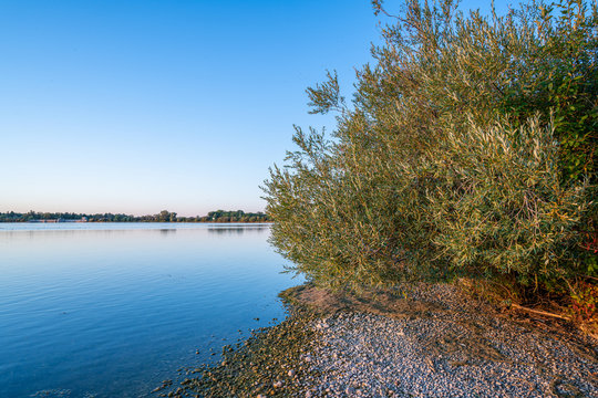 Mandichosee in Schwaben
