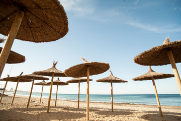 empty coconut fiber umbrellas on the beach