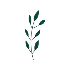 branch foliage leaves organic decoration icon