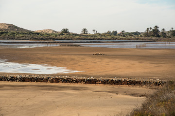 Salinas de Calblanque, Murcia, Spain