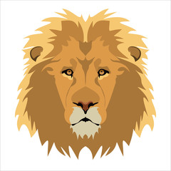 Lion's head illustration