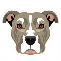 dog face cartoon flat icon design, dog's head,