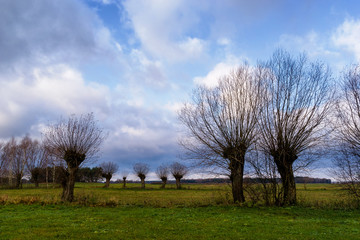 Krajobraz wiejski, Jesień na Podlasiu, Dolina Narwi, Polska © podlaski49