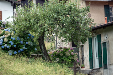 Fototapeta na wymiar house with flowers, italy