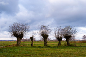 Krajobraz wiejski, Jesień na Podlasiu, Dolina Narwi, Polska © podlaski49