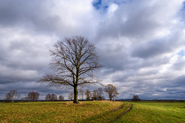 Krajobraz wiejski, Jesień na Podlasiu, Dolina Narwi, Polska © podlaski49