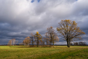 Krajobraz wiejski, Jesień na Podlasiu, Dolina Narwi, Polska © podlaski49