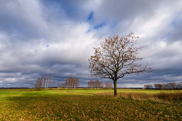 Krajobraz wiejski, Jesień na Podlasiu, Dolina Narwi, Polska © podlaski49