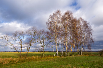 Krajobraz wiejski, Jesień na Podlasiu, Dolina Narwi, Polska © podlaski49