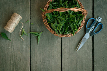 Nettle in a basket on grey wooden background. Nettle harvest. Fresh herbs. Healthy diet. Cop space. Scizzors