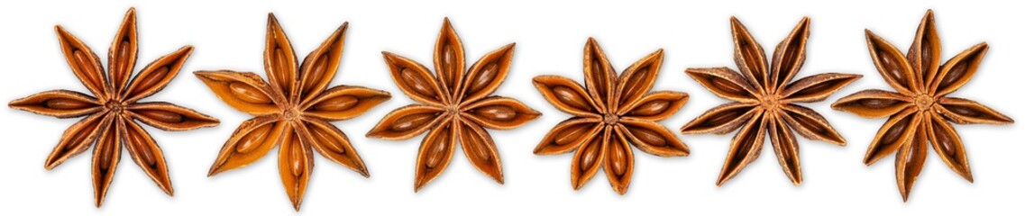 Row set collection of various star anise seasonal christmas ingredient herbs spice decoration ...