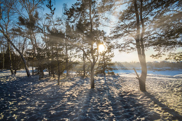 Fototapete bei efototapeten.de bestellen   