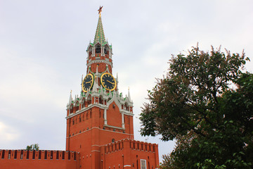 Fototapeta na wymiar Kremlin tower in Moscow, Russia. Kremlin Palace architecture, symbol of Russia on the Red Square, main square of Moscow city on summer day 