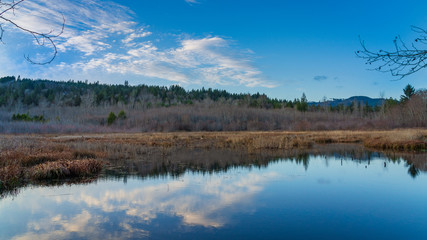 Obraz na płótnie Canvas Late Afternoon Along Beaver Pond At Darlin Creek