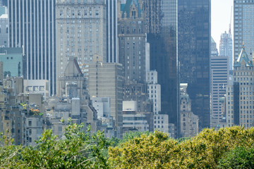 Fototapeta premium New York skyscrapers over Central Park trees
